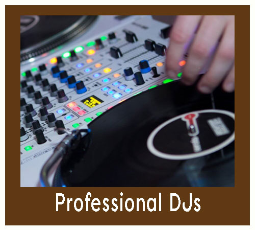 Professional DJ / MC