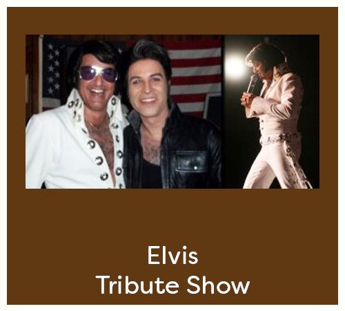 Elvis Tribute Show